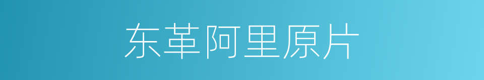 东革阿里原片的同义词