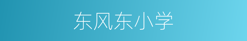 东风东小学的同义词