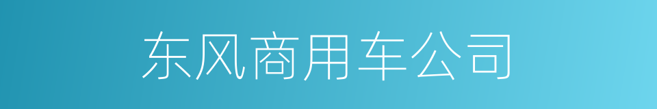 东风商用车公司的同义词