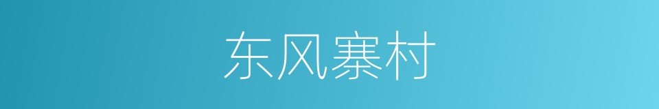 东风寨村的同义词