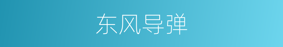 东风导弹的同义词