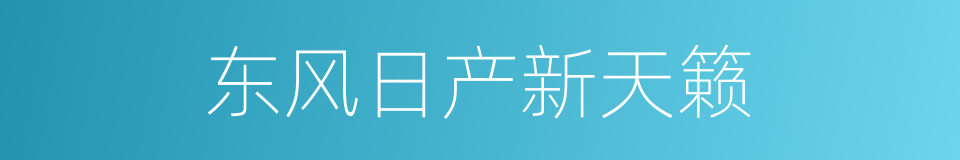 东风日产新天籁的同义词