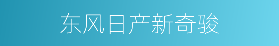 东风日产新奇骏的同义词