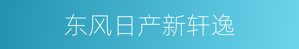 东风日产新轩逸的同义词