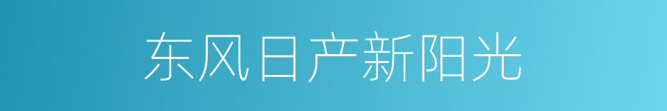 东风日产新阳光的同义词