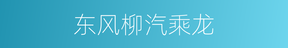 东风柳汽乘龙的同义词