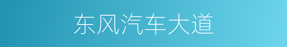 东风汽车大道的同义词