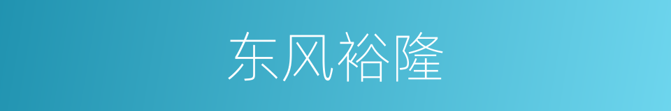 东风裕隆的同义词