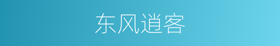 东风逍客的同义词