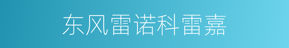 东风雷诺科雷嘉的同义词