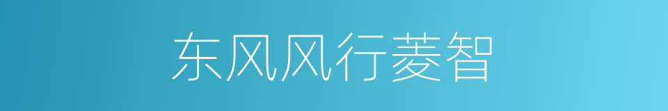 东风风行菱智的同义词