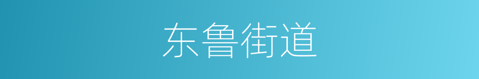 东鲁街道的同义词