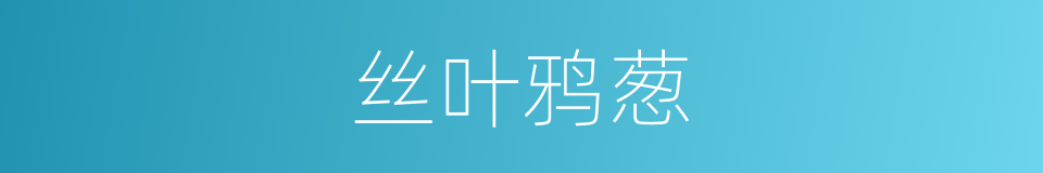 丝叶鸦葱的同义词