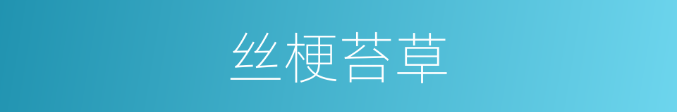 丝梗苔草的同义词