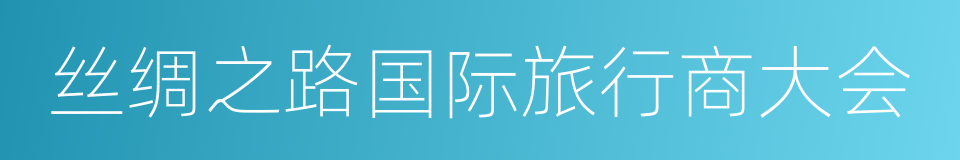 丝绸之路国际旅行商大会的同义词