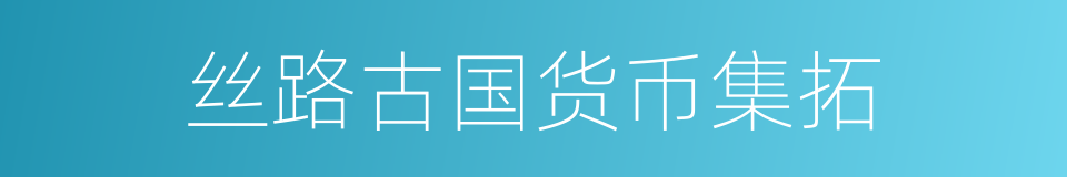 丝路古国货币集拓的同义词