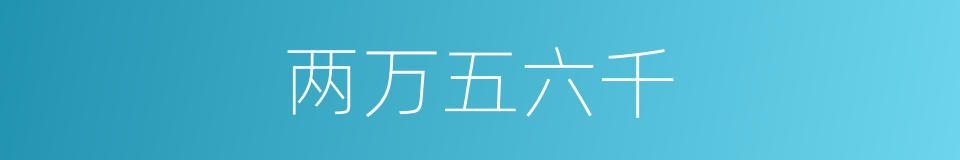 两万五六千的同义词
