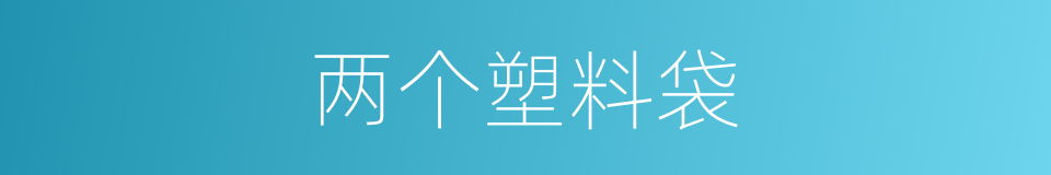 两个塑料袋的同义词