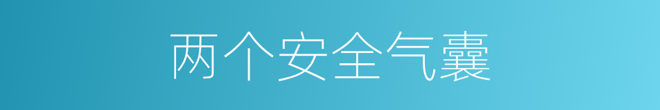 两个安全气囊的同义词