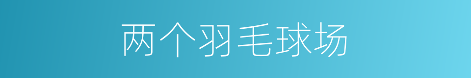 两个羽毛球场的同义词