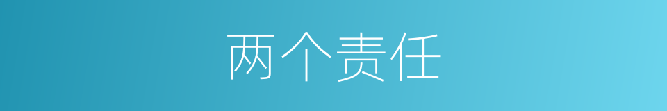 两个责任的同义词
