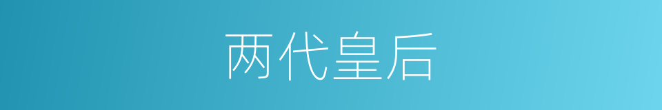 两代皇后的同义词