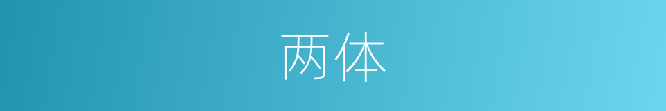 两体的意思