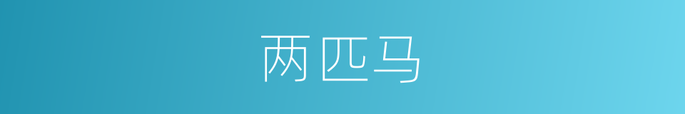 两匹马的同义词