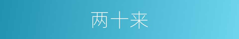 两十来的同义词