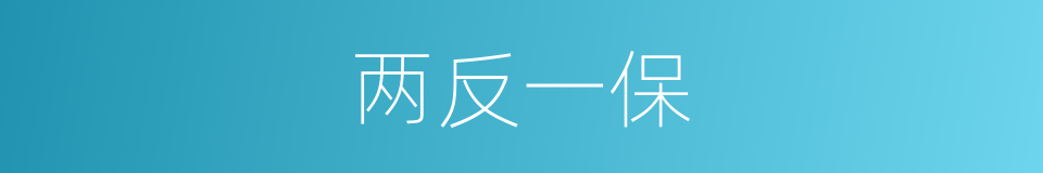 两反一保的同义词