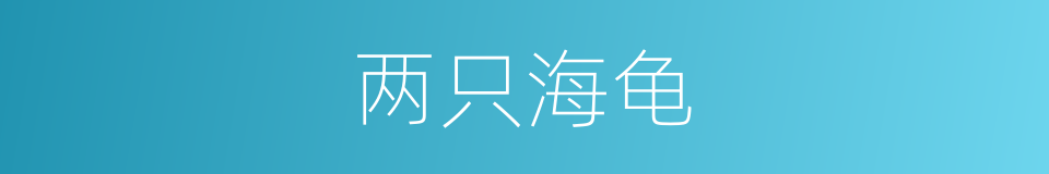 两只海龟的同义词