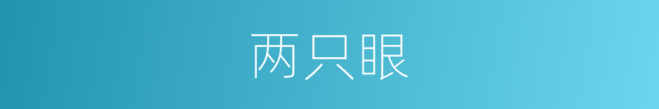 两只眼的同义词