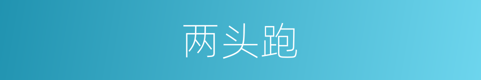 两头跑的同义词
