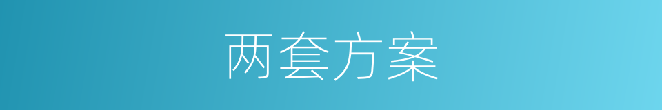 两套方案的同义词