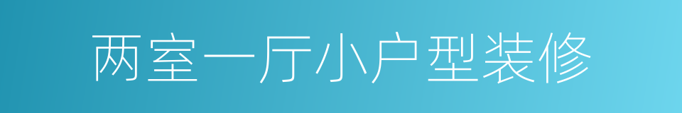 两室一厅小户型装修的同义词