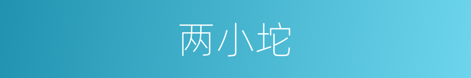 两小坨的同义词