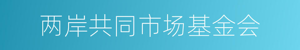 两岸共同市场基金会的同义词