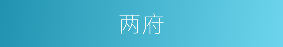 两府的意思