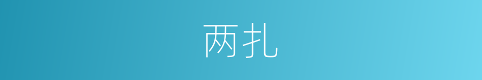 两扎的同义词