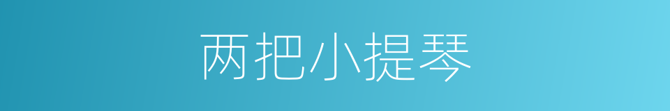两把小提琴的同义词