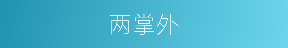 两掌外的意思