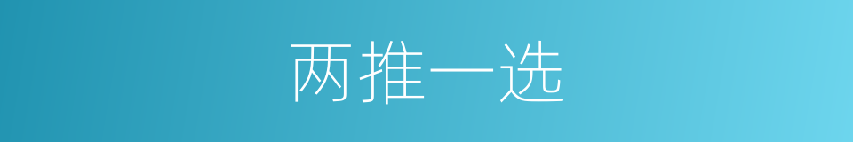 两推一选的同义词