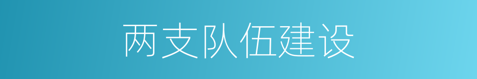 两支队伍建设的同义词