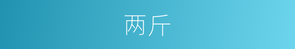 两斤的意思
