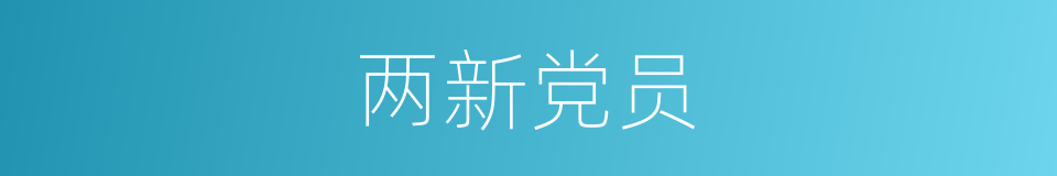 两新党员的同义词