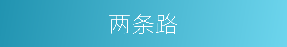 两条路的同义词