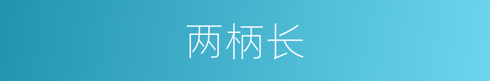两柄长的同义词