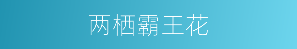 两栖霸王花的同义词