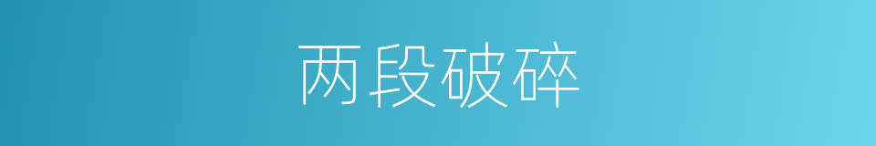 两段破碎的同义词