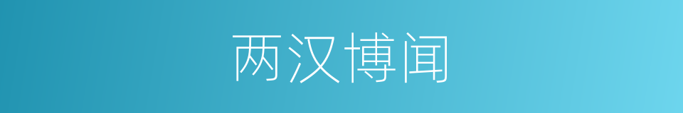 两汉博闻的同义词
